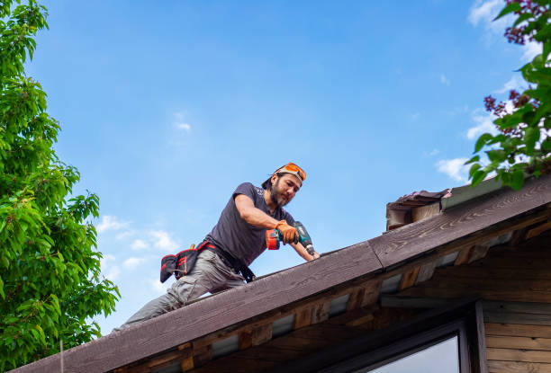 Best Roof Moss and Algae Removal  in Hughesville, MD